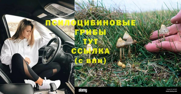 MESCALINE Алзамай