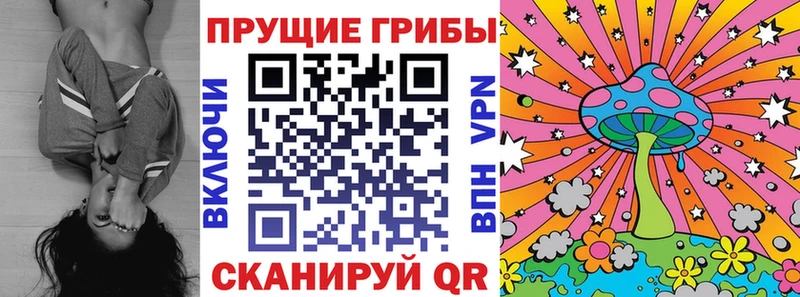 закладки  Плавск  Галлюциногенные грибы Psilocybine cubensis 